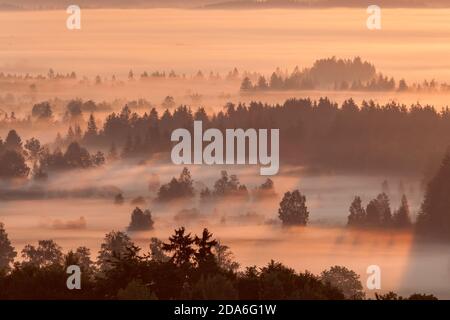 geography/travel, Germany, Bavaria, Grossweil, fog across the Kochelseemoos, Grossweil, Upper Bavaria, Additional-Rights-Clearance-Info-Not-Available Stock Photo
