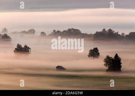 geography/travel, Germany, Bavaria, Grossweil, fog across the Kochelseemoos, Grossweil, Upper Bavaria, Additional-Rights-Clearance-Info-Not-Available Stock Photo