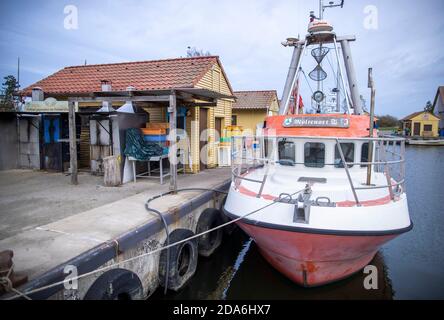 Freest, Germany. 05th Nov, 2020. Fishing cutters are moored in the fishing port. Credit: Jens Büttner/dpa-Zentralbild/ZB/dpa/Alamy Live News Stock Photo