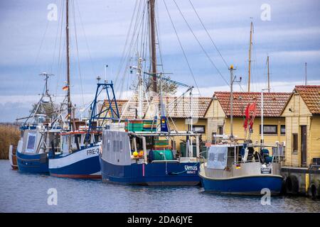 Freest, Germany. 05th Nov, 2020. Fishing cutters are moored in the fishing port. Credit: Jens Büttner/dpa-Zentralbild/ZB/dpa/Alamy Live News Stock Photo