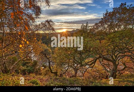 The sun setting behind The Eildon Hill with old oak and birch trees bathed in warm light at Scott's View, Scottish Borders. Stock Photo