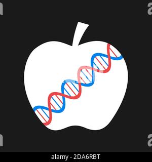 Genetically modified organism and food - fruit and apple with DNA double helix. Vector illustration. Stock Photo