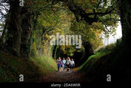 Ladies enjoy a walk through the trees along an ancient track in Halnaker near Chichester which follows the route of Stane Street, the London to Chichester Roman road. Stock Photo