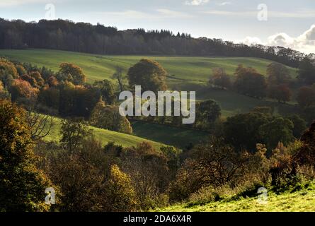 Colourful autumn scene of the rolling hills of the Scottish Borders.