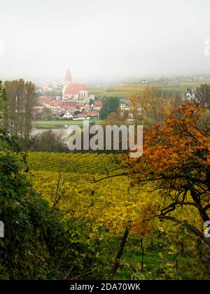 Weissenkirchen Wachau Austria in autumn colored leaves and vineyards on a foggy day Stock Photo