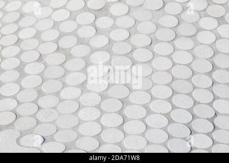White round stone slab pattern on a sunny day. High resolution full frame textured background. Stock Photo