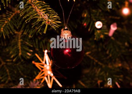 Red Christmas bauble in front of the christmas tree. Stock Photo