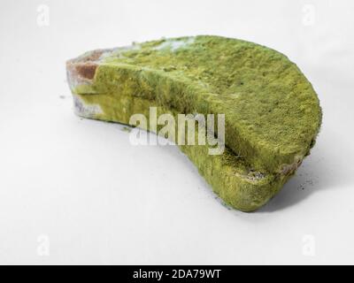 A piece of bread covered with green mold on a white background isolate. Stock Photo