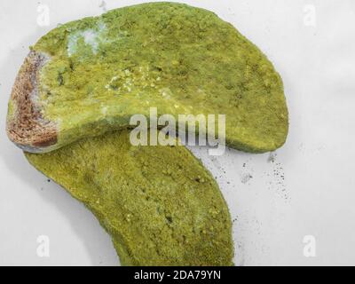 A piece of bread covered with green mold on a white background isolate. Stock Photo