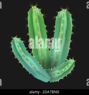 Realistic desert cactus prickly pear. Stock Vector