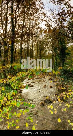 Figgate Burn runs all the way to Portobello, Edinburgh, Scotland, UK Stock Photo