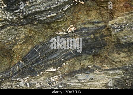 Stratified rock shapes and patterns interlaced with quartz in the slate cliffs above Tintagel in North Cornwall, October Stock Photo