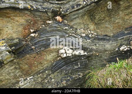 Stratified rock shapes and patterns interlaced with quartz in the slate cliffs above Tintagel in North Cornwall, October Stock Photo