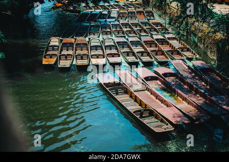 Punting boats by Magdalen Bridge Boathouse on river Cherwell in Oxford, many boats docked together in rows. Bright and colorfull group of long boats Stock Photo