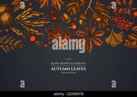 Design on dark background with fern, dog rose, rowan, ginkgo, maple, oak, horse chestnut, chestnut, hawthorn Stock Vector