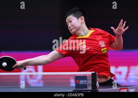 201110) -- ZHUJI, Nov. 10, 2020 (Xinhua) -- Vladimir Stimac of Qingdao  Eagles celebrates during the 11th round match between Nanjing Monckey Kings  and Qingdao Eagles at the 2020-2021 season of the