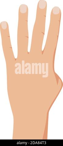 Hand gesture counting four, realistic counting hand illustration. Number 4 hand gesture. Isolated on white backgound. Vector Stock Vector