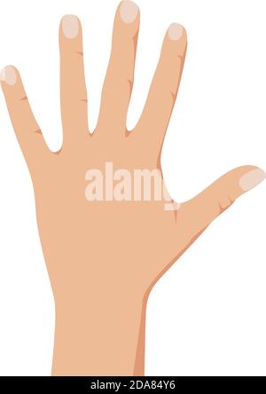 Open palm hand showing number five. Vector illustration of