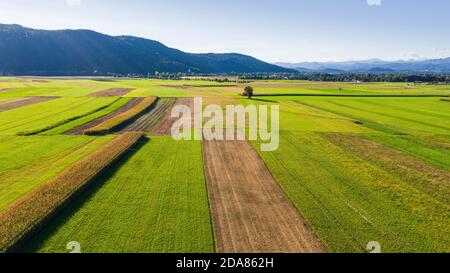 Aerial view of agricultural farming fields from sky. Stock Photo