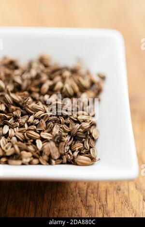Closeup of fennel fruits. Stock Photo