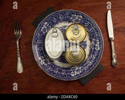 Different types of cans with prepared foods for consumption, vegetables, fish and meat Stock Photo