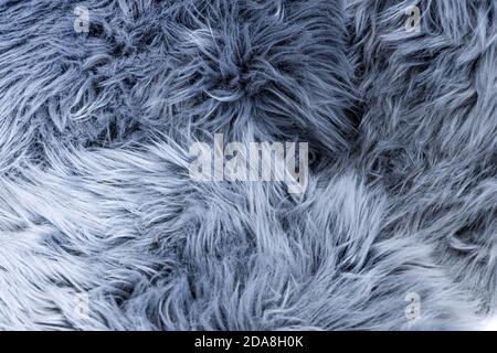 Top view of grey long fluffy fur in neutral light condition, use as background or wallpaper, this is artificial fur made from plastics. Stock Photo