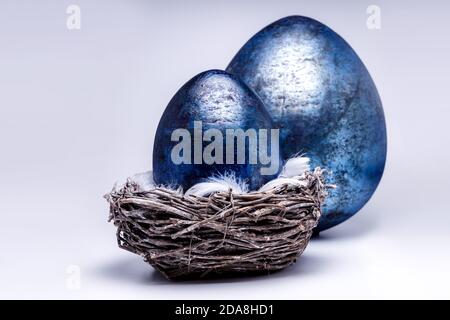 two royal blue easter eggs in a easter nest made of brown twigs and branches, creative easter and spring decoration 2020, trend colors on white isolat Stock Photo