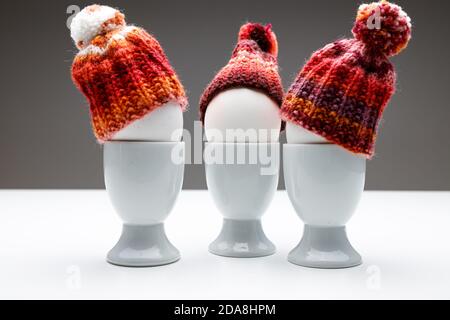 Group if talking egg heads in white egg cups with a wool beanie hat on a white table with dark grey background. Use as template or symbol of communica Stock Photo