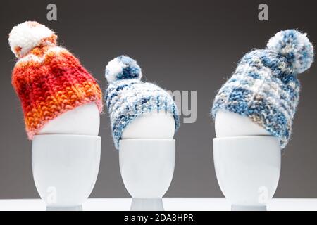 A group of egg heads talking to each other, three egg cups with white eggs and wool beanies, on a dark grey background standing on a white ground. use Stock Photo