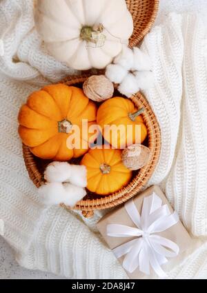 Autumn modern banner with pumpkin composition Stock Photo