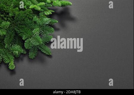 Pine tree branches. Christmas New Year background Stock Photo
