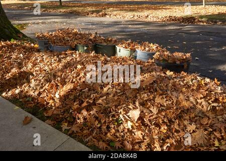 A pile of raked autumn leaves lying on the ground  by the side of a residential street in the fall Stock Photo