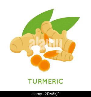 Turmeric root, isolated on white background. Vector cartoon illustration. Stock Vector