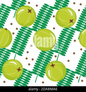 Seamless pattern with amla, indian gooseberry on white background. Cosmetics and medical plant. Vector cartoon illustration. Stock Vector