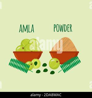 Amla set, indian gooseberry, powder, leaves isolated on white background. Ayurvedic plant. Vector cartoon illustration. Stock Vector