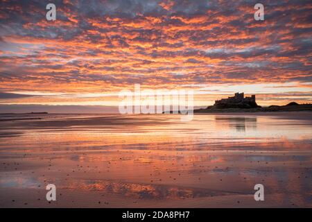 A vivid sunrise is reflected in the wet sand on Bamburgh Beach with the silhouetted castle sitting on a rocky outcrop on the horizon line. Stock Photo