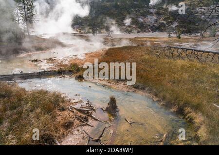Steam and a hot water stream from the Blood Geyser in the Artists Paintpots in Yellowstone National Park in Wyoming, USA. Stock Photo