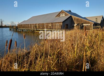 Britannia Shipyards National Historic Site Steveston. The Historic Brittania Heritage shipyard on the banks of the Fraser River in Steveston, British Stock Photo