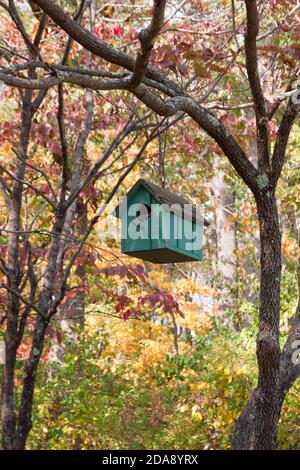 Colorful handmade wooden green/teal birdhouse hanging from tree branch during the fall season. Stock Photo