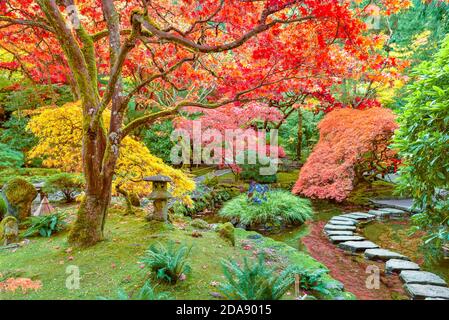 Fall colour, Japanese Garden, Butchart Gardens, Brentwood Bay, British Columbia, Canada Stock Photo