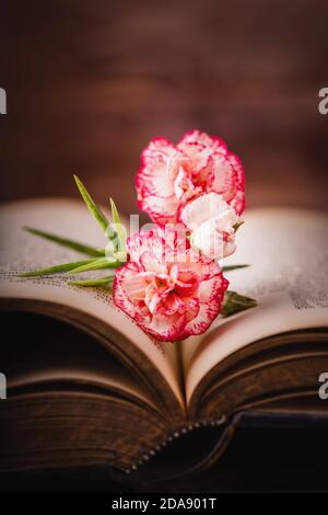 Old book and pink white carnation flower on a dark wooden background Stock Photo