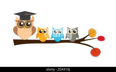 cartoon owl teacher