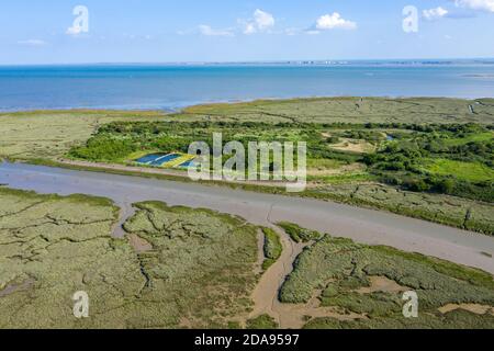 Leigh On Sea National Nature Reserve aerial view of Marshes in Essex Stock Photo