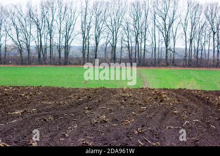 A ravine with a cultivated area for spring crops Stock Photo