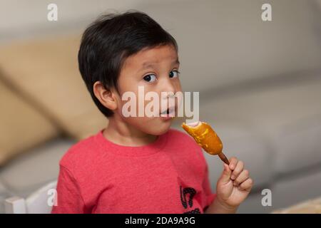 A young boy looks with awe as he takes a bite out of a homemade corn dog, a healthy snack. Stock Photo