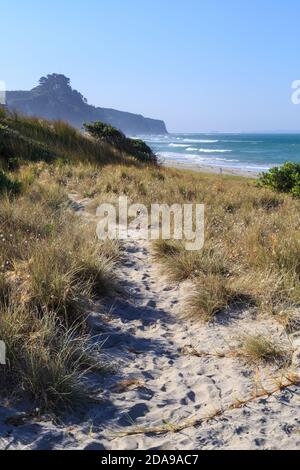 A sand pathway leading to the sea through delicate dune grasses. Photographed at Pukehina Beach, New Zealand Stock Photo
