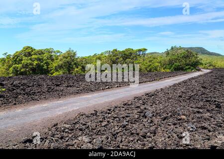 A road leading through fields of black lava rock on Rangitoto Island, a volcano in the Hauraki Gulf, New Zealand Stock Photo
