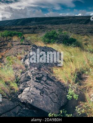 Puu Loa Petroglyphs Stock Photo