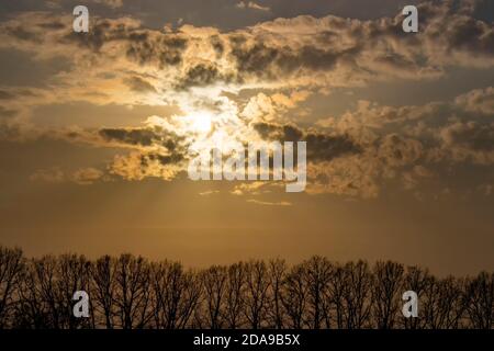 Tree silhouettes and bright orange evening sunlight from behind small clouds. Stock Photo