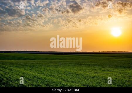 Beautiful sunset over green fields of young wheat and over fields prepared for crops in spring. Orange evening glow. Stock Photo